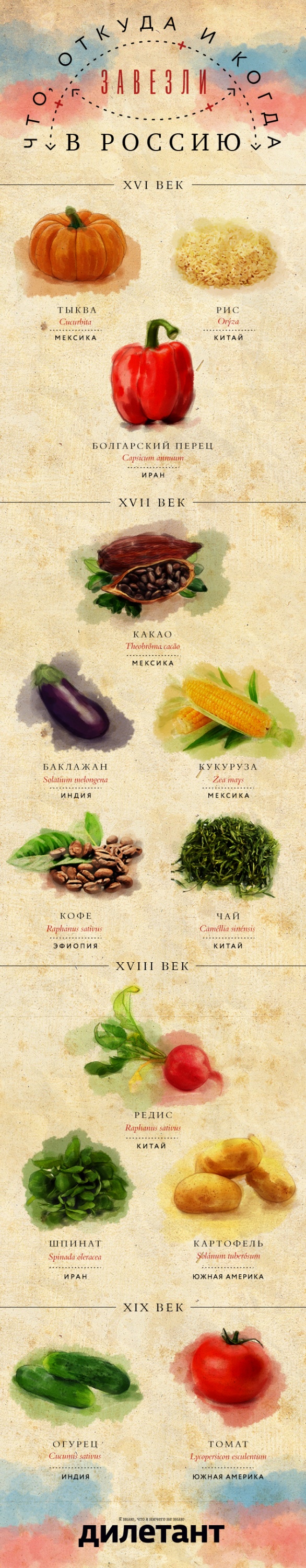 Инфографика: Что, откуда завезли в Россию