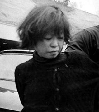 Японские красноармейцы: партизанская война в Стране восходящего солнца