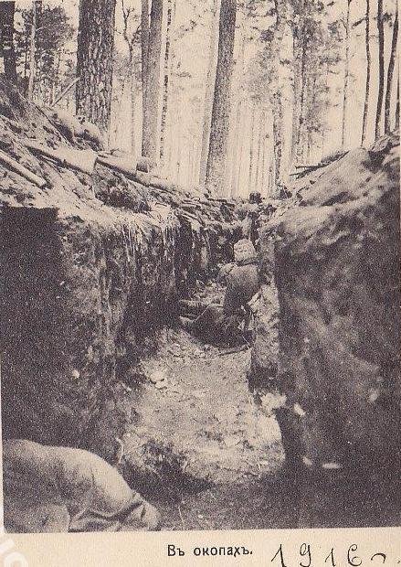 Казаки и первая мировая война. Часть III, 1915 год