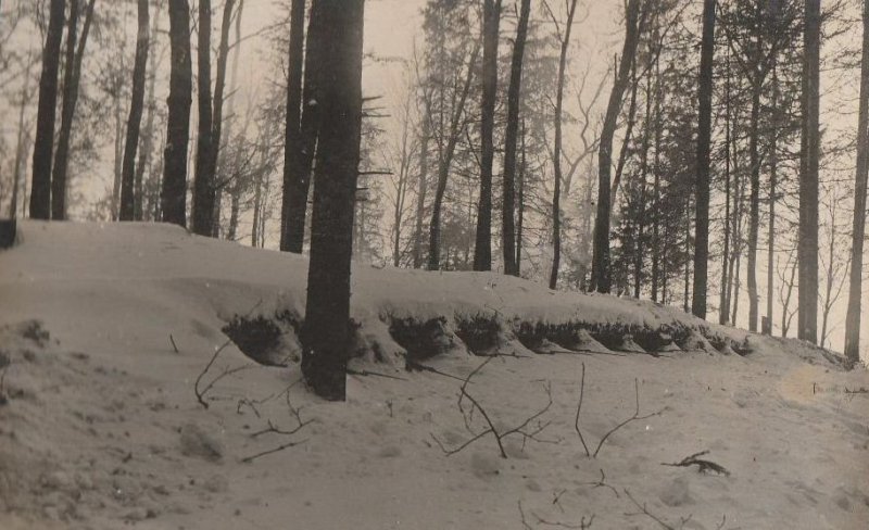 Казаки и первая мировая война. Часть III, 1915 год