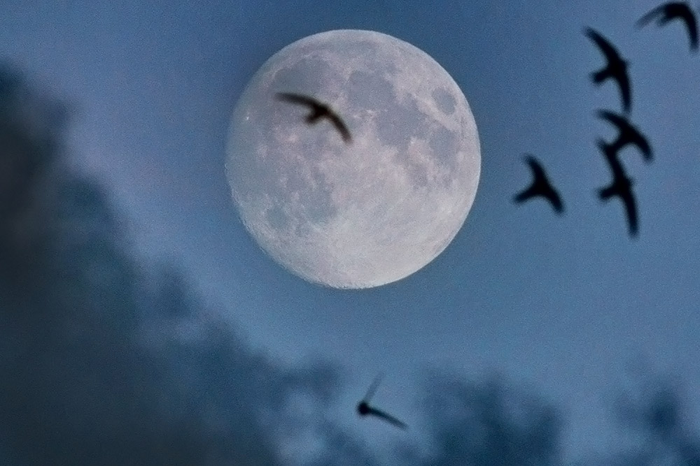 Корабль пришельцев маскируется под Луну