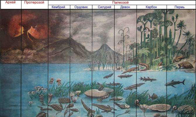 Кремниевый человеческий мозг из палеозоя