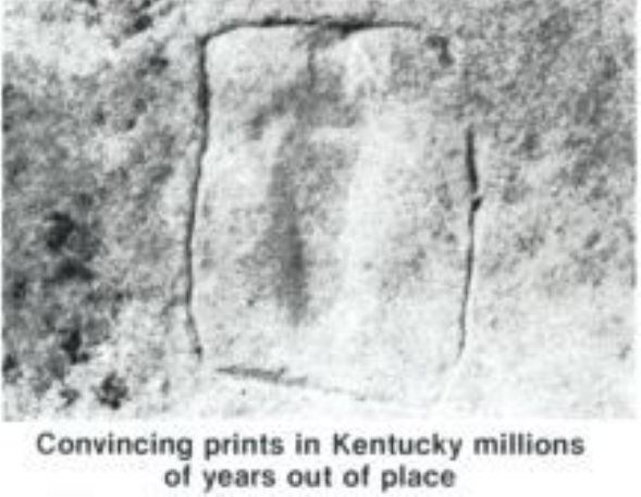 Кремниевый человеческий мозг из палеозоя