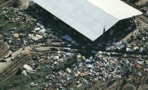 Массовое самоубийство – эксперимент ЦРУ? () Массовое самоубийство – эксперимент ЦРУ?