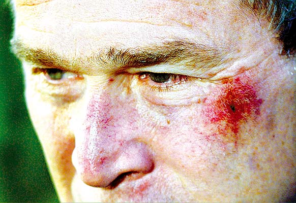 Перлы Буша. Избранное () Перлы Буша. Избранное