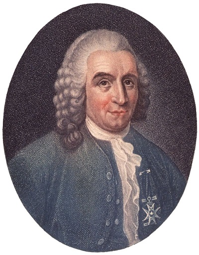 Плесень: наказание или благословение?