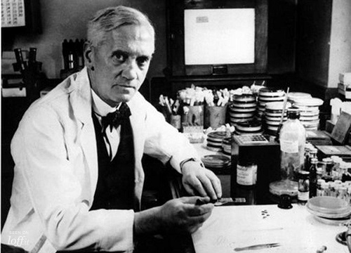 Плесень: наказание или благословение?