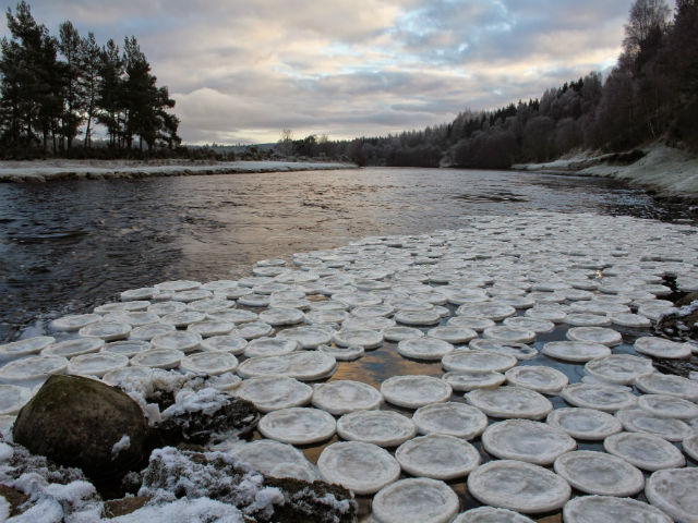 Подборка научных фотографий 2014 года () Подборка научных фотографий 2014 года