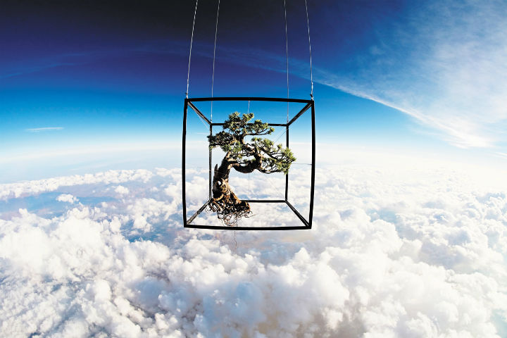 Подборка научных фотографий 2014 года () Подборка научных фотографий 2014 года