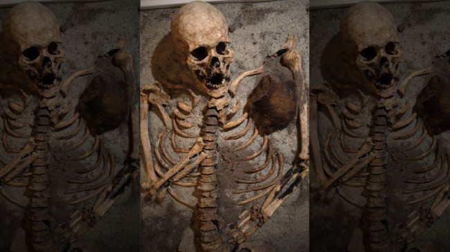 Польские вампиры умерли от холеры () Польские вампиры умерли от холеры