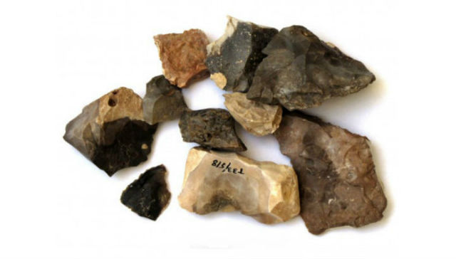 Предки человека могли приручить огонь 350 тысяч лет назад