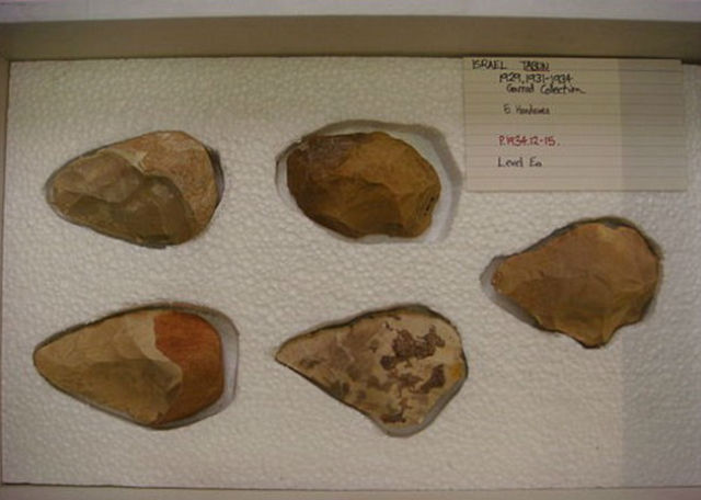 Предки человека могли приручить огонь 350 тысяч лет назад