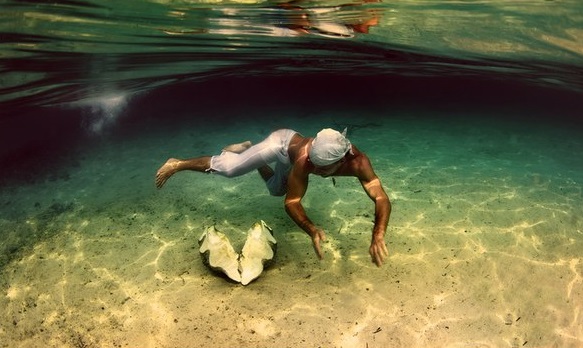 Рыба научилась шуметь с помощью раковин () Рыба научилась шуметь с помощью раковин