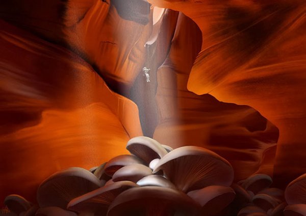 Шедевры, нарисованные на iPad () Шедевры, нарисованные на iPad