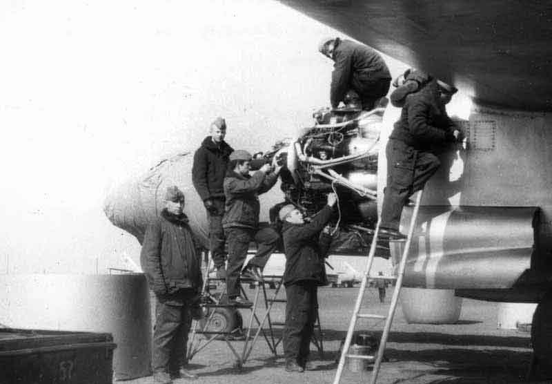 Школьные гончие