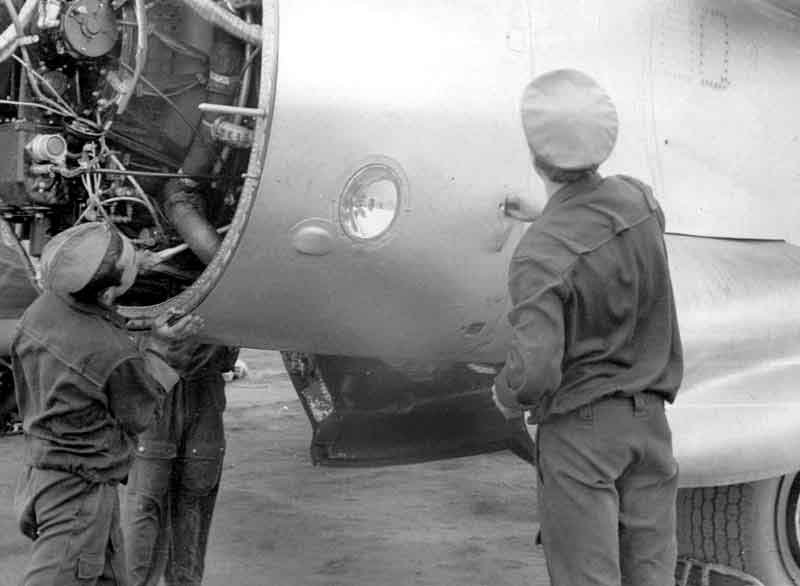 Школьные гончие