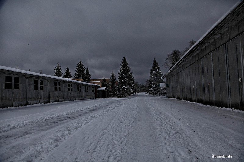 Соляркою пахнущий правды кусок, истории - Родины нашей...