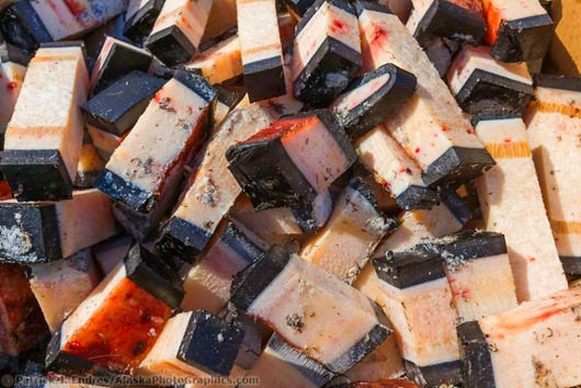 Странные блюда из старых поваренных книг () Странные блюда из старых поваренных книг