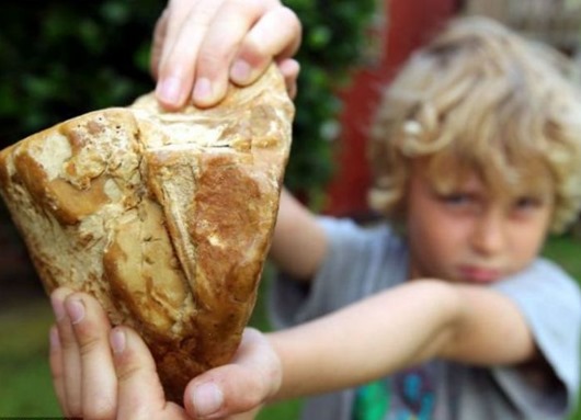 Странные блюда из старых поваренных книг () Странные блюда из старых поваренных книг