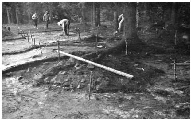 В поисках чуди заволочской: средневековые древности Тотемского края () В поисках чуди заволочской: средневековые древности Тотемского края