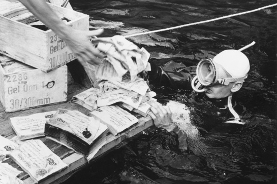 Зловещая глубина: что нацисты спрятали на дне австрийского озера () Зловещая глубина: что нацисты спрятали на дне австрийского озера