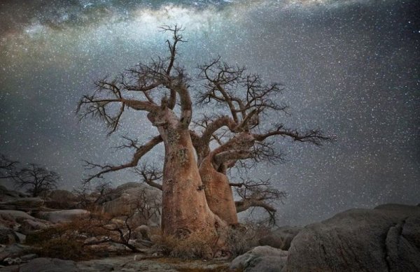 Алмазные ночи