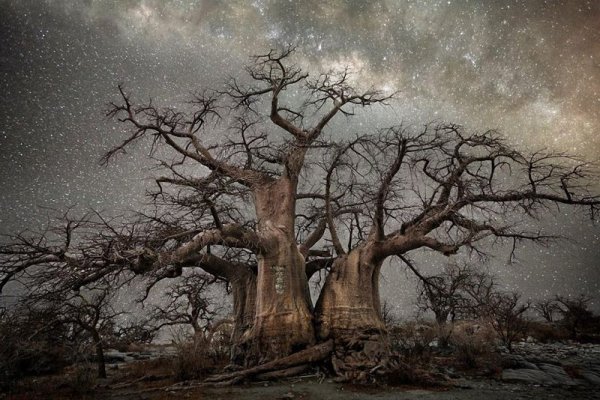 Алмазные ночи