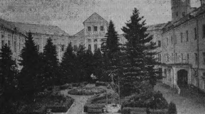 Черная дама из Несвижа () Черная дама из Несвижа