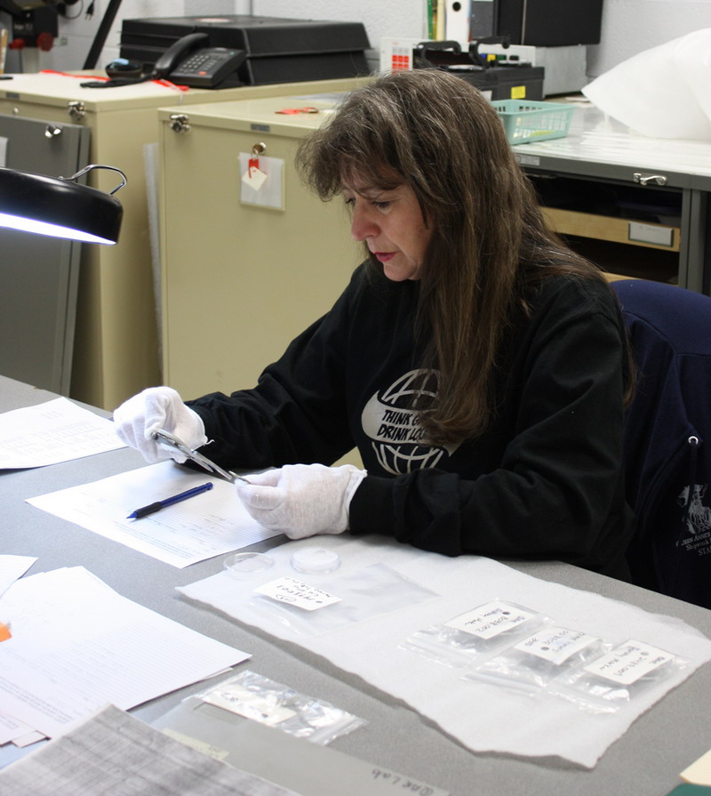 Фотографии необычных находок с затонувшего корабля Чёрной Бороды () Фотографии необычных находок с затонувшего корабля Чёрной Бороды