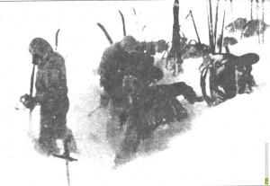 Мерцающая жуть () Мерцающая жуть