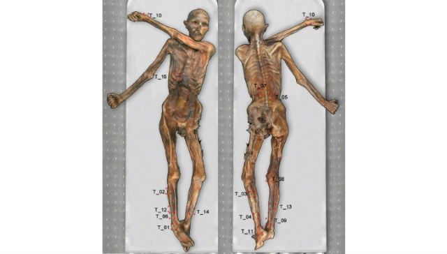 На ледяной мумии Эци найдены новые татуировки + Фото