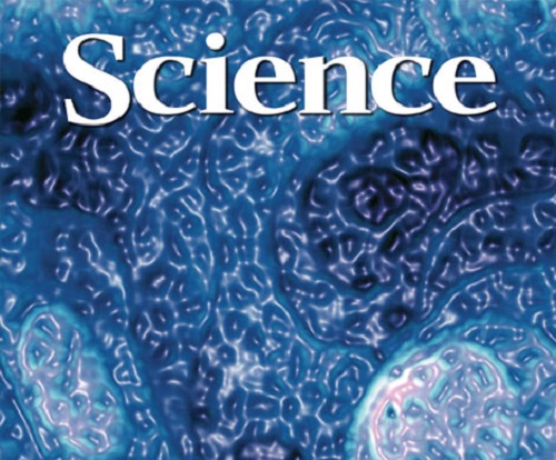 Названы самые прорывные открытия года Названы самые прорывные открытия года