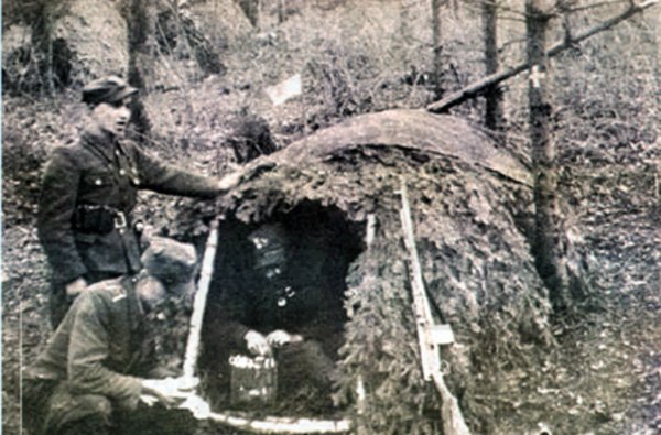 «Полесская сечь» Тараса Бульбы () «Полесская сечь» Тараса Бульбы