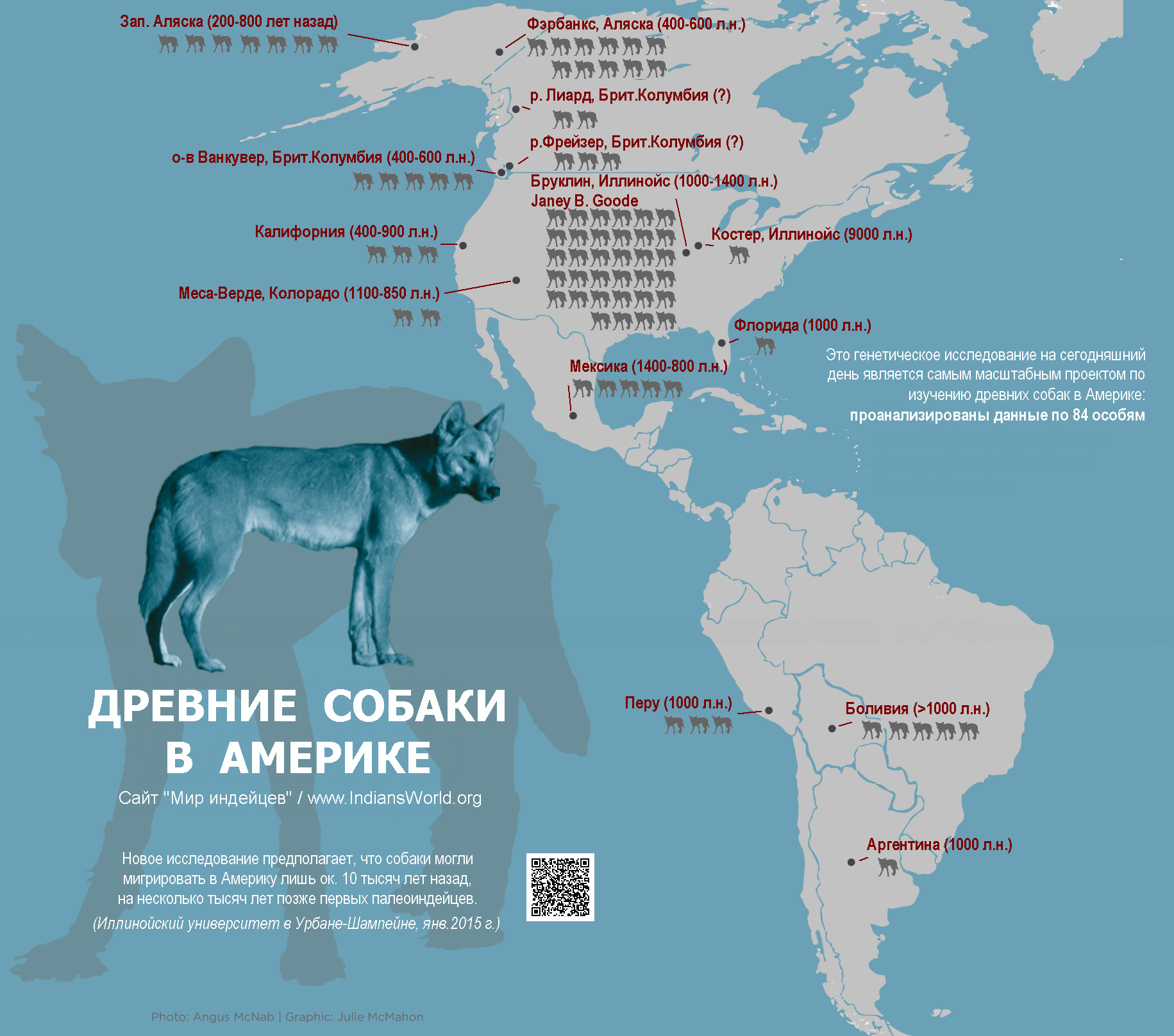 Собаки мигрировали в Америку лишь 10 тысяч лет назад () Собаки мигрировали в Америку лишь 10 тысяч лет назад
