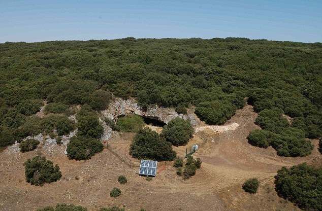 Жители Испании в древности ели собак, диких кошек, лис и барсуков