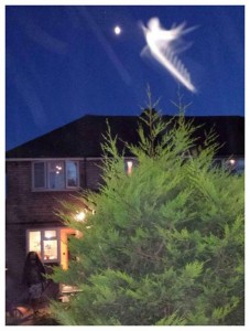 Знамения ХХI века