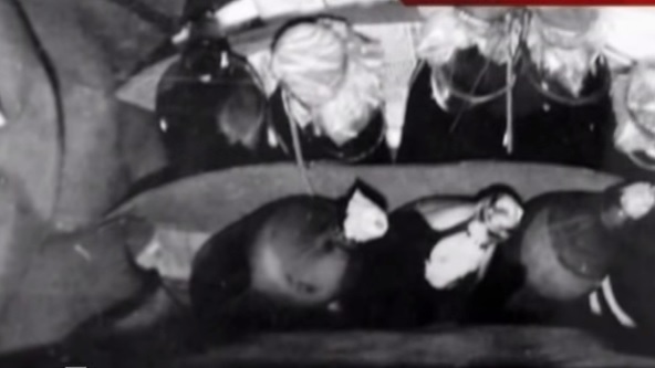 Антисоветский террор «Белого креста» в 1989-90 годы () Антисоветский террор «Белого креста» в 1989-90 годы