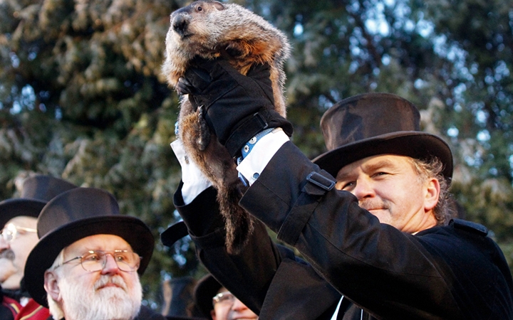День сурка: праздник предсказаний () День сурка: праздник предсказаний