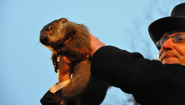День сурка: праздник предсказаний () День сурка: праздник предсказаний