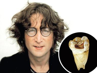 Зуб Джона Леннона.jpg Зуб Джона Леннона.jpg