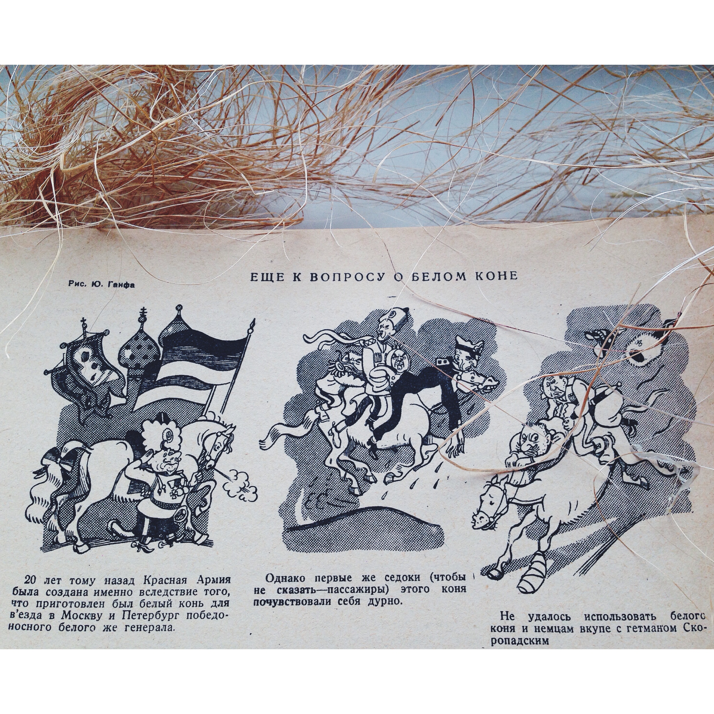 «Крокодил: О белом коне» () «Крокодил: О белом коне»