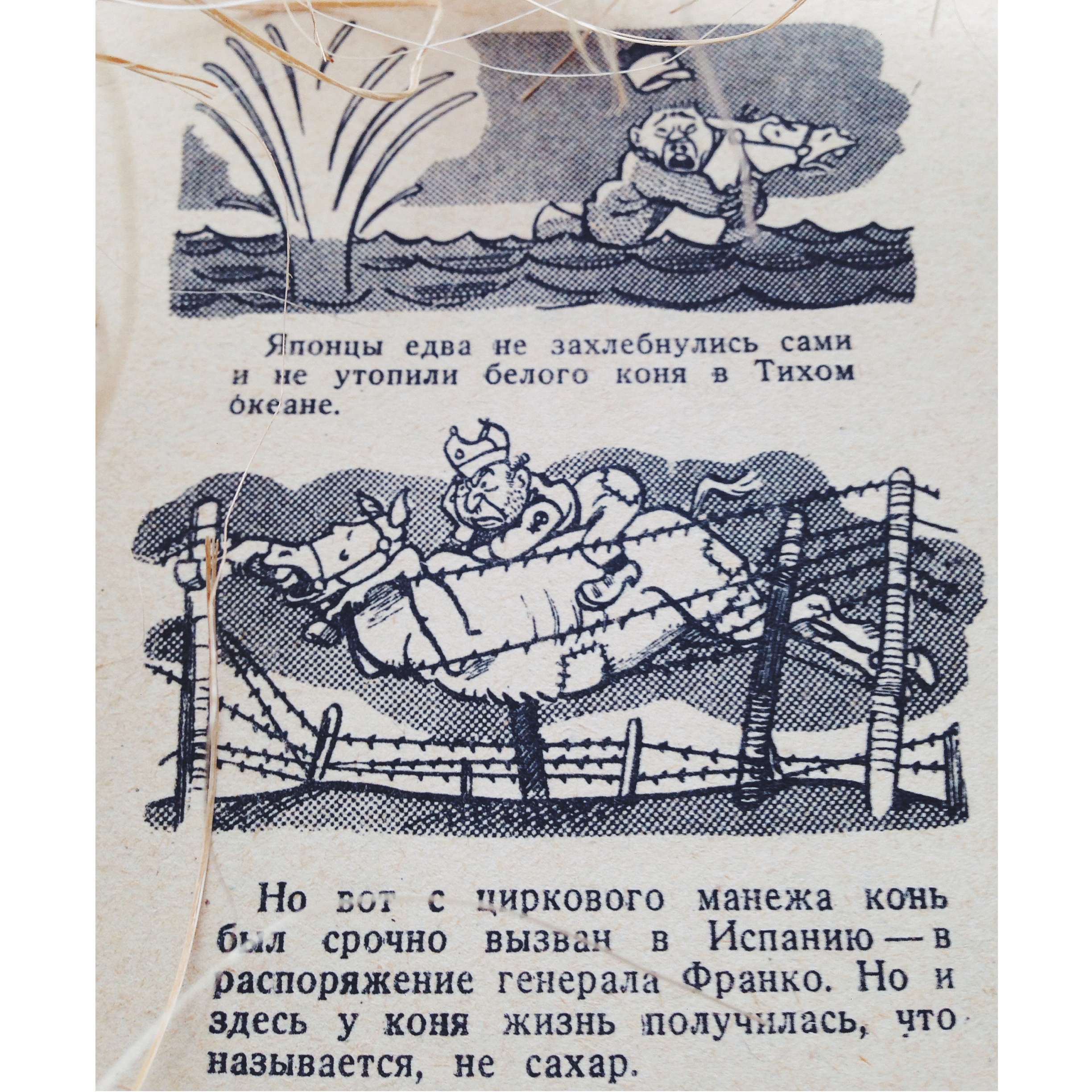 «Крокодил: О белом коне» () «Крокодил: О белом коне»