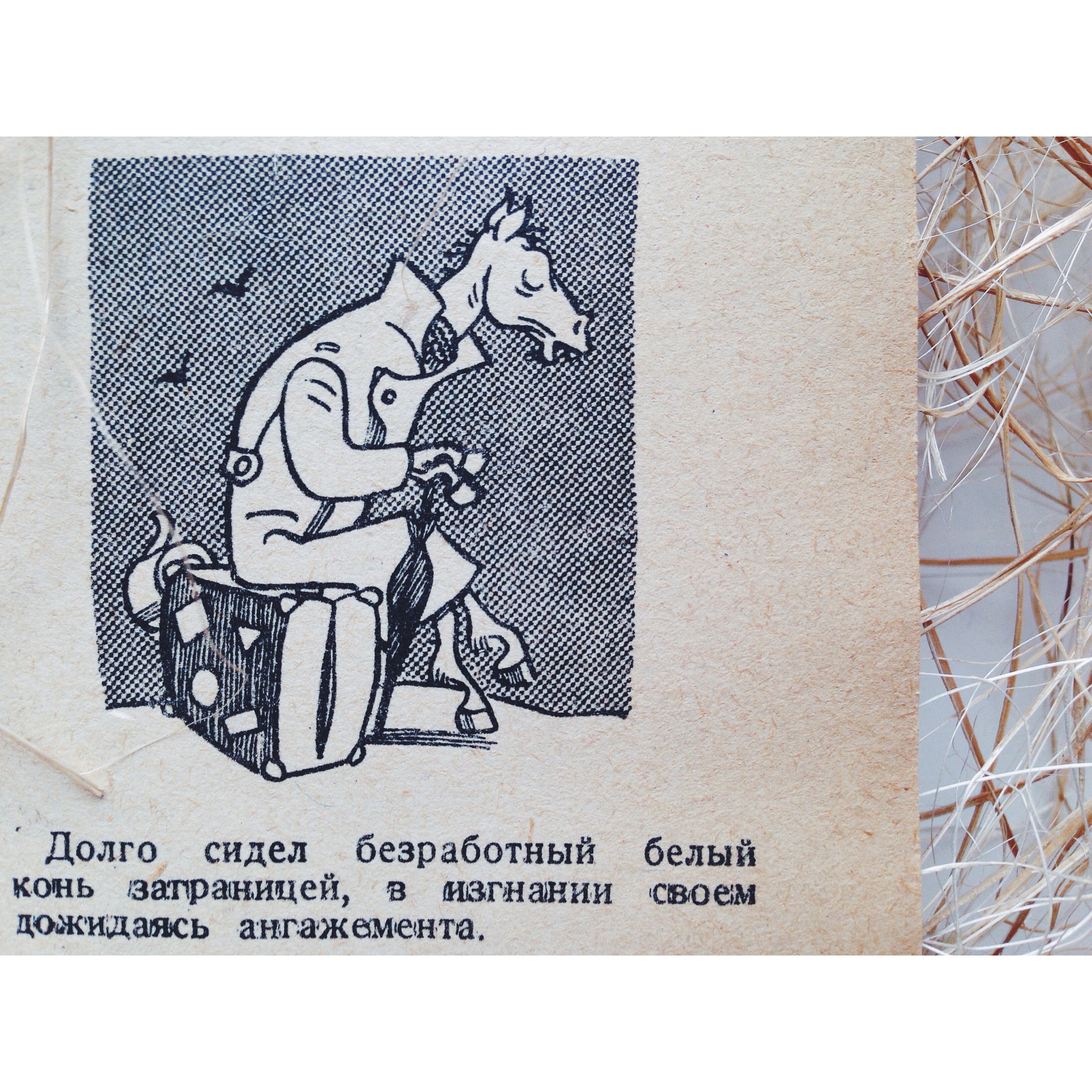 «Крокодил: О белом коне» () «Крокодил: О белом коне»