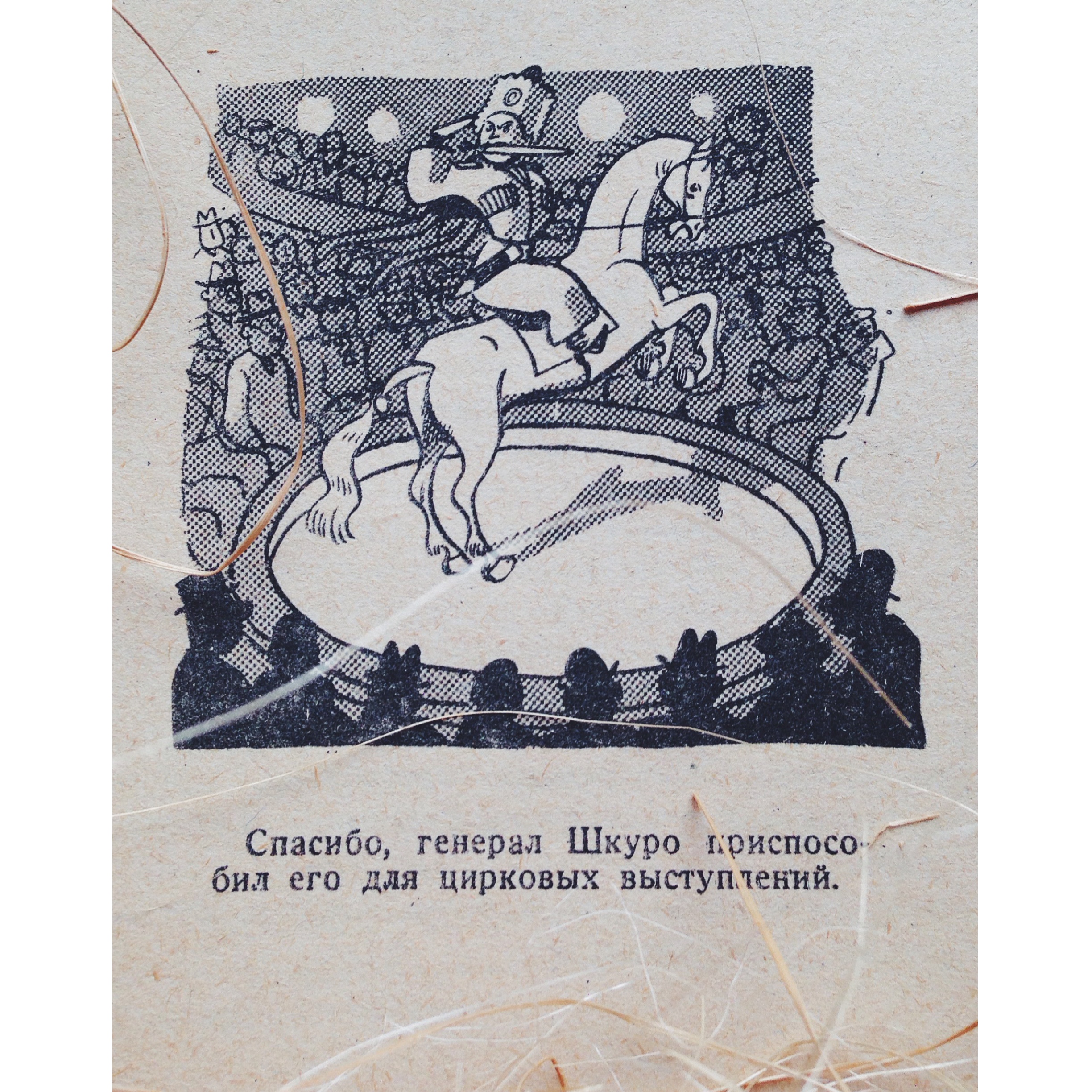 «Крокодил: О белом коне» () «Крокодил: О белом коне»