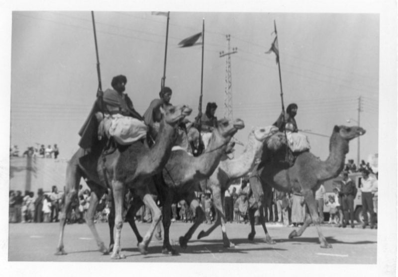 Непокоренная Сахара. Судьба «частично признанной» республики () Непокоренная Сахара. Судьба «частично признанной» республики