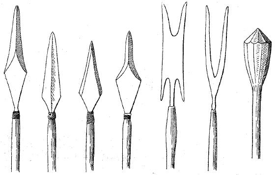 Охотничий промысел у кетов () Охотничий промысел у кетов