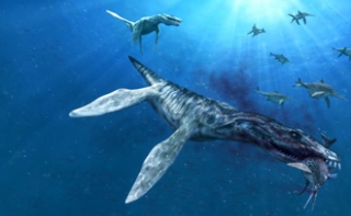 В России найдены останки ранее неизвестного морского ящера () В России найдены останки ранее неизвестного морского ящера