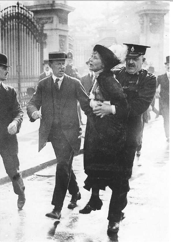 Война полов или движение суфражисток () Война полов или движение суфражисток