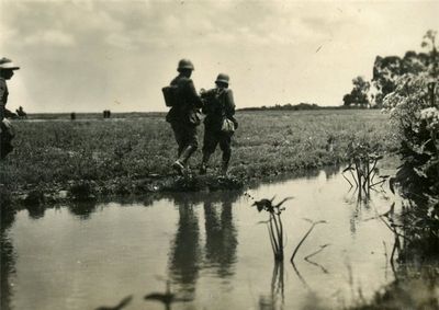 1-й конноартиллерийский полк аргентинской армии () 1-й конноартиллерийский полк аргентинской армии