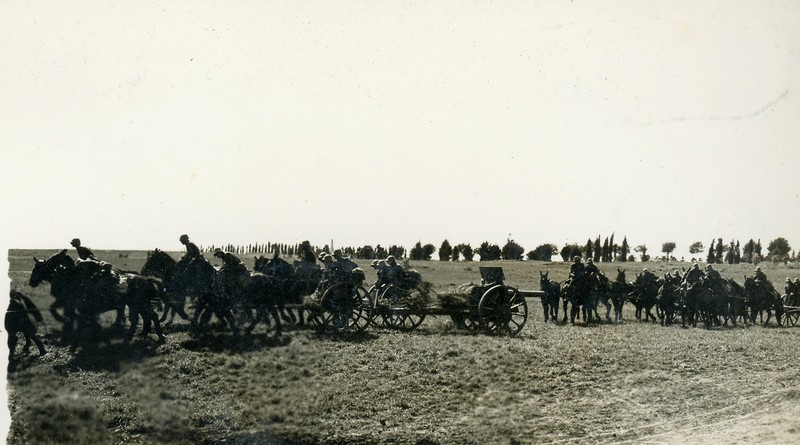 1-й конноартиллерийский полк аргентинской армии